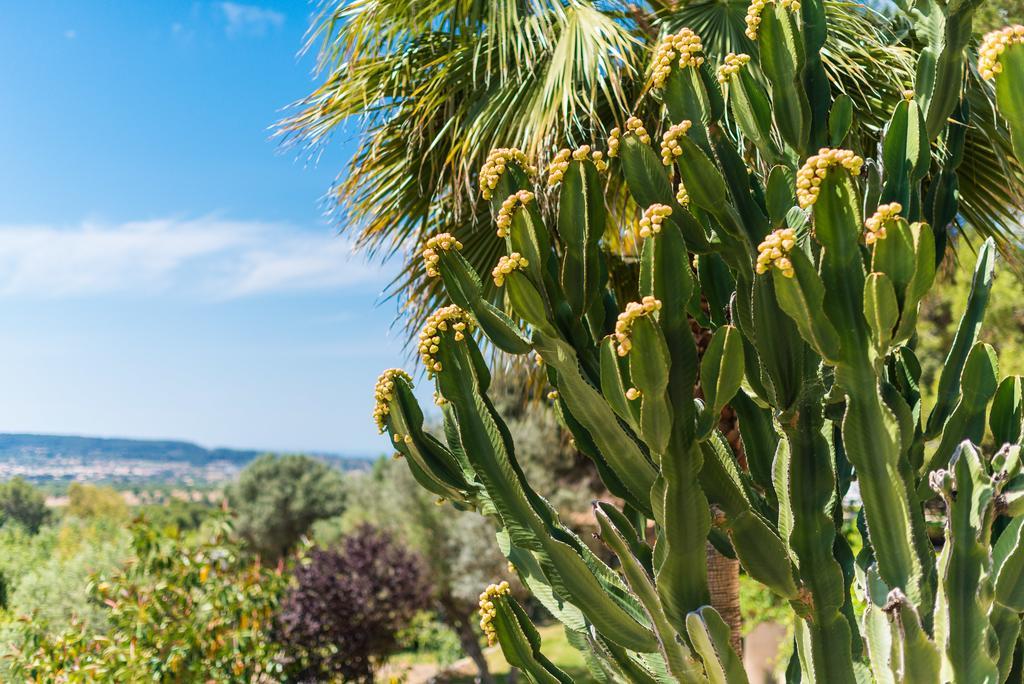 Es Pinar Villa Alaró Екстериор снимка